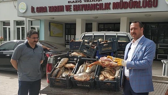 Tarım İl Müdürü Karahan Dert Yandı!