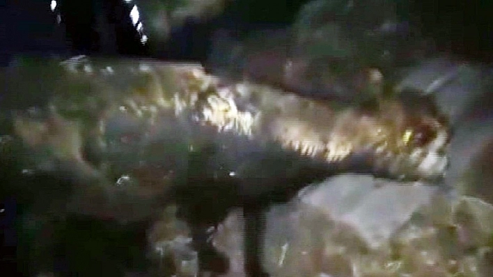 Kanal borusuna sıkışan inek kurtarıldı 