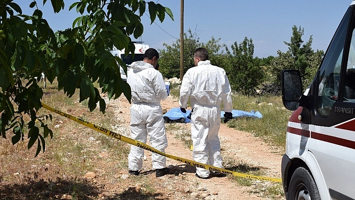 Malatya'da cinayet: polis memuru ve annesi öldü 