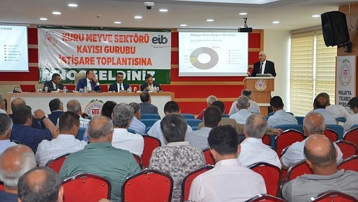 Kayısı komisyonu MTB'de toplandı 