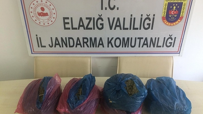 Jandarmadan Uyuşturucu Operasyonu