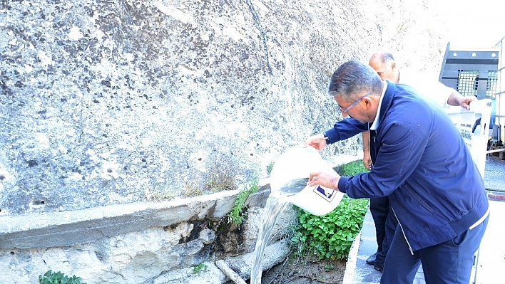 Tohma'ya 60 bin aynalı sazan balık bırakıldı 