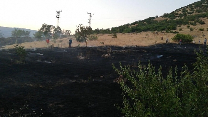 Yangın  ormana sıçramadan söndürüldü 