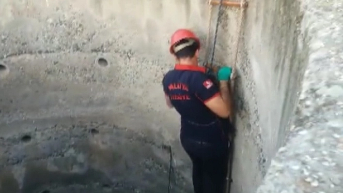 8 metrelik kuyuya düşen kediyi itfaiye ekipleri çıkarttı 