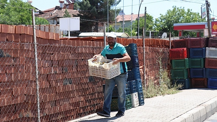 Konsantre kayısıda fiyat 90 kuruş oldu 