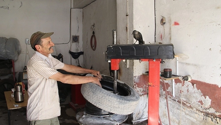Oto lastikçinin kargayla dostluğu görenleri şaşırtıyor 