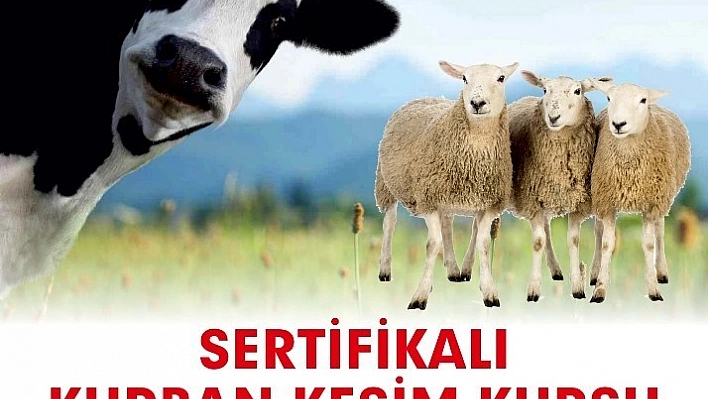 Malatya'da kurban kesim kursu 