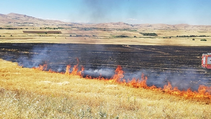 Elazığ'da 150 dönümlük alan kül oldu 