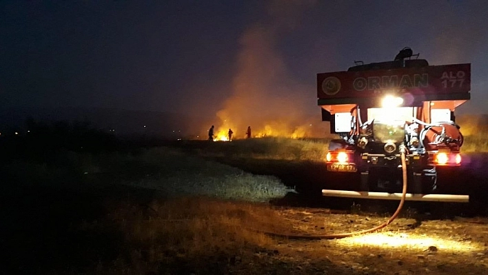 Yangın, ormana sıçramadan söndürüldü 