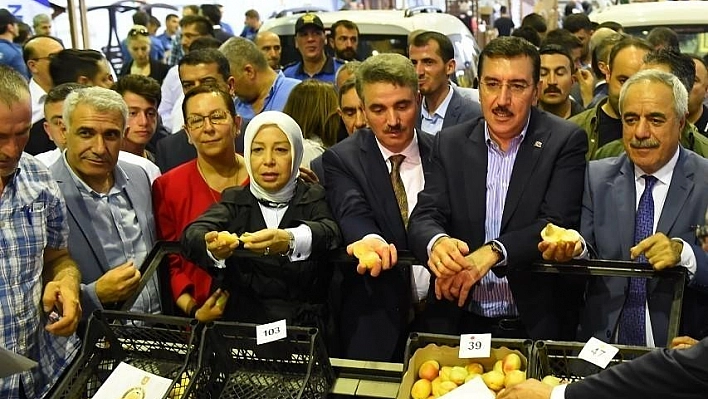 'Güneşin altın yumurtası' Kayısı Festivali başladı 