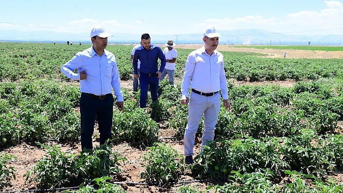 Yeşilyurt'ta yüzde yüz yerli tarımsal üretim devam ediyor 