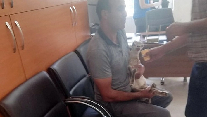 Yavru dağ keçisi güvenlik korucusu tarafından kurtarıldı 