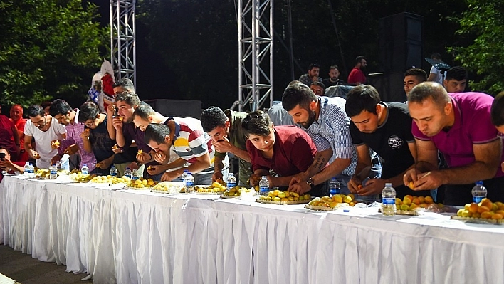3 dakikada 1 kilo kayısı yedi 