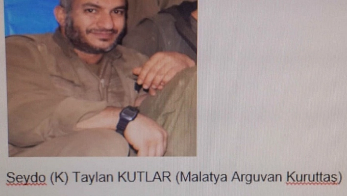 Tunceli'deki terör operasyonu 
