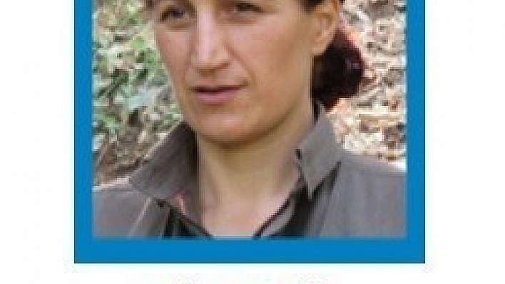 Bingöl'de 8 terörist etkisiz hale getirildi, 2'si ödüllü listede çıktı 