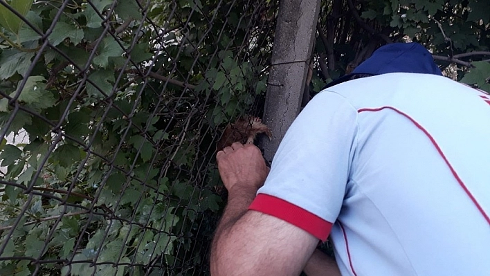Tellere sıkışan yavru kedi kurtarıldı 