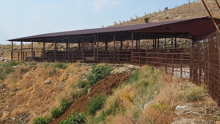 Sabah kahvaltılı, öğlen yemekli 5 yıldızlı kurban hizmeti 