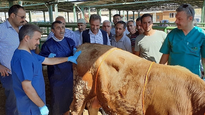 Malatya'da kurban kesim kursu düzenlendi 