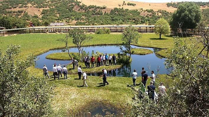 BÜ  senato toplantısı Yüzenadalar'da yapıldı 