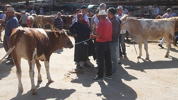 Kurban Pazarından Son Durum
