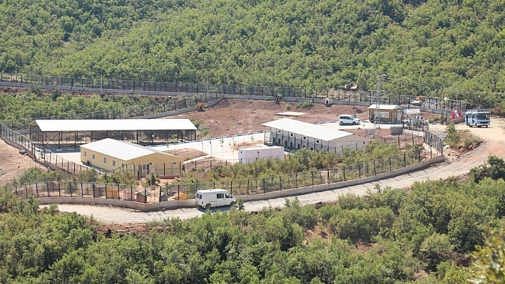Hayvan Barınağı İçler Acısı Halde