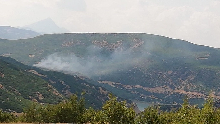 Bingöl'de orman yangını, ekipler söndürdü 