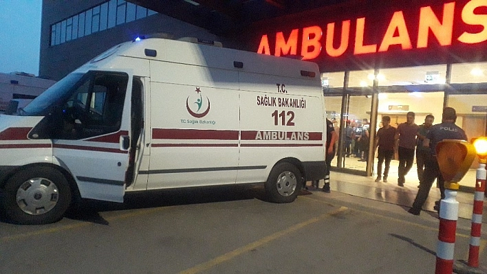 Köpeğe ateş ederken kuzenini öldürdü 