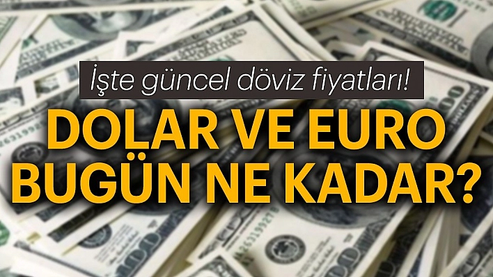18 Kasım 2019 Döviz Kurları!
