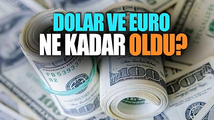 19 Kasım Döviz Kurları!