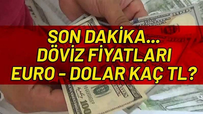 28 Kasım 2019 Döviz Kurları!