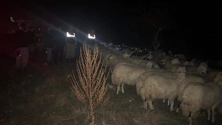 Ağın'da Mehmetçik Seferber Oldu