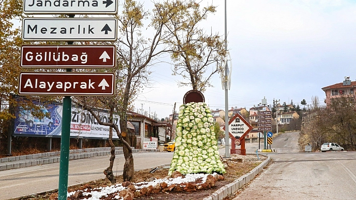 Elazığ'da Dikey Bahçe Uygulaması Hayata Geçiyor
