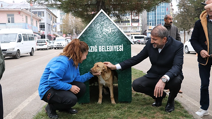 Karakoçan'da Örnek Uygulama Hayata Geçti