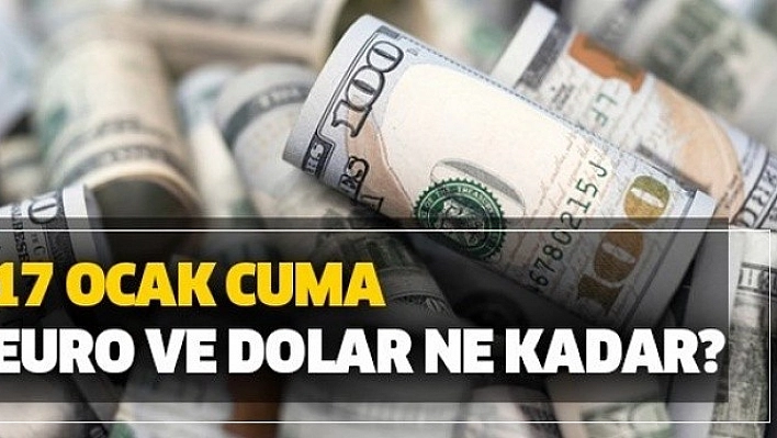 17 Ocak 2020 Döviz Kurları!
