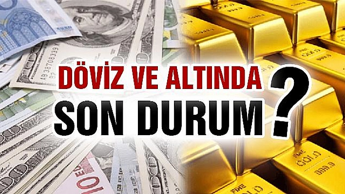 Döviz ve Altın'da Son Durum!