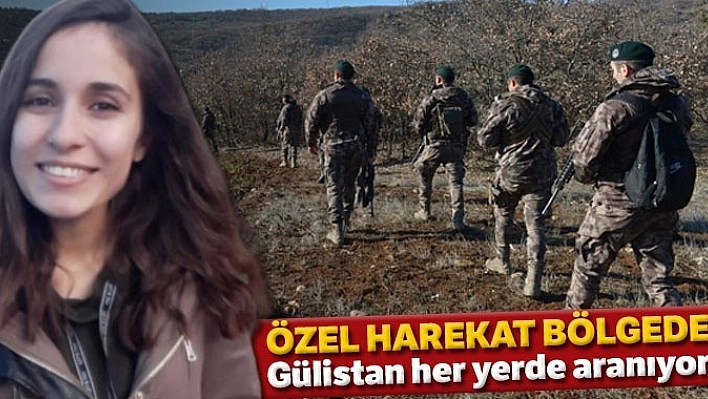 Kayıp Gülistan'ı Arama Çalışmaları Sürüyor