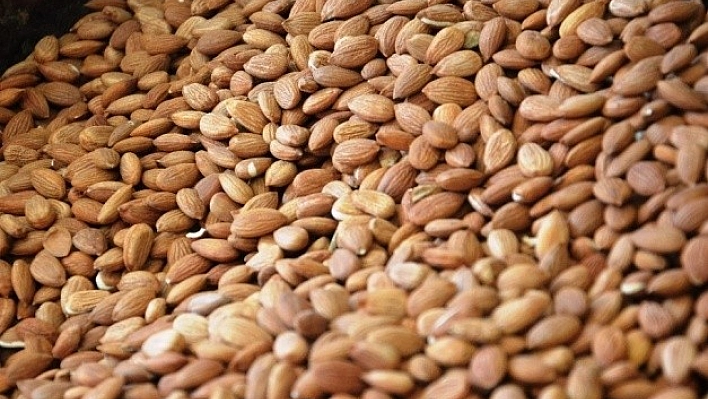 Kayısı Çekirdeği, ABD'nin Bademine Rakip