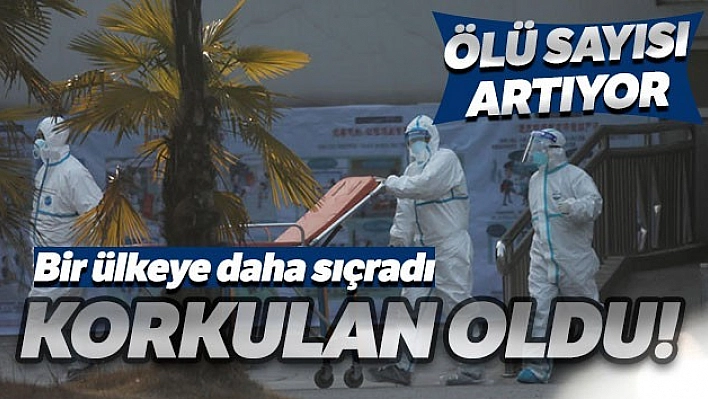 Virüs Yayılıyor, Yüzlerce Vaka Var!