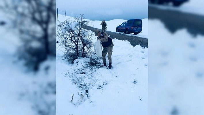 Yaban Hayvanlarına Jandarma Şefkati