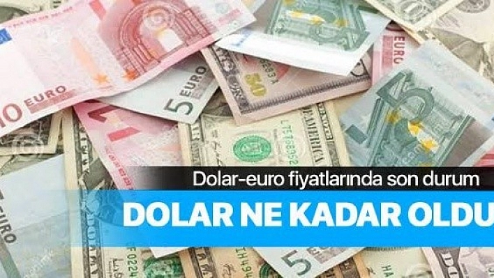 02 Şubat 2020 Döviz Kurları!