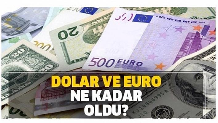 08 Şubat 2020 Döviz Kurları!