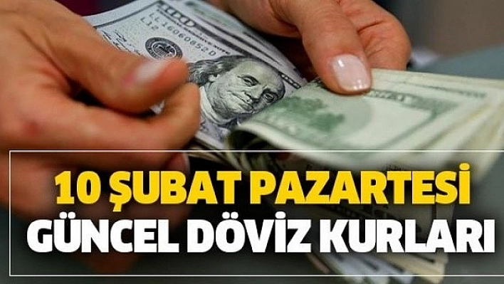 10 Şubat 2020 Döviz Kurları!
