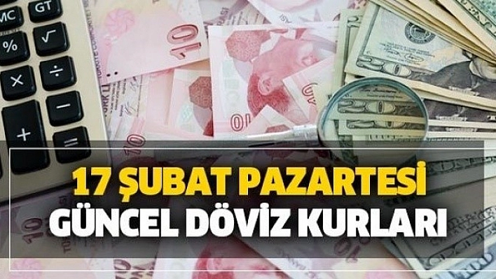 17 Şubat 2020 Döviz Fiyatları!