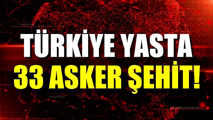 Ciğerimiz Yanıyor! Bedeli Çok Ağır Olmalı