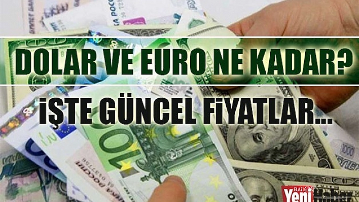 28 Mart Dolar ve Euro Fiyatları