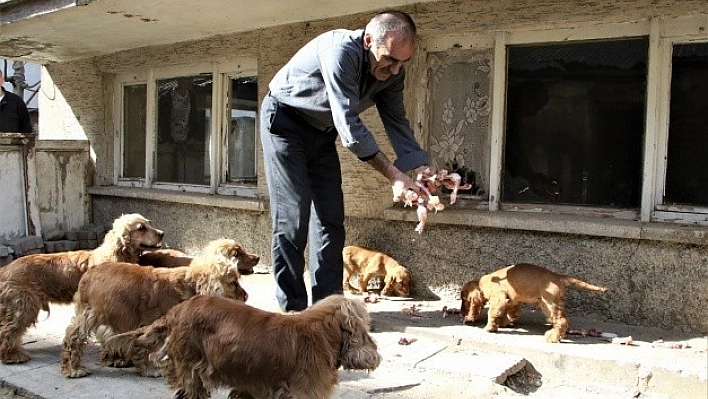 Köpeklerinden Biran Olsun Ayrılamıyor