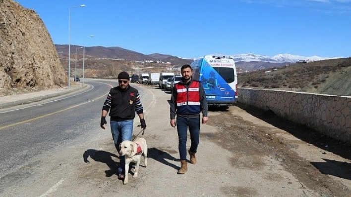 Gülistan'ı Arama Çalışmaları Sürüyor