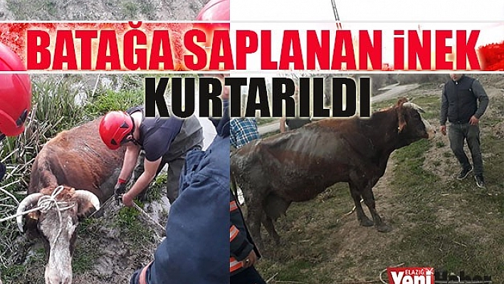 İtfaiye Ekipleri Kurtardı