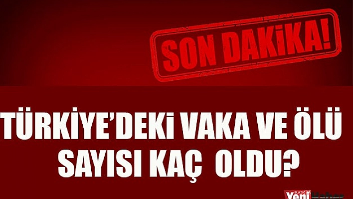 Türkiye'de Koronavirüsle İlgili Vaka ve Ölü Sayısı Kaç Oldu?