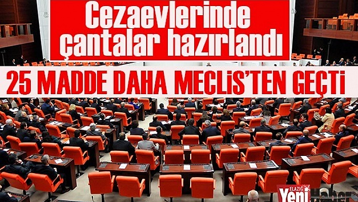 25 Madde Daha TBMM'de Kabul Edildi